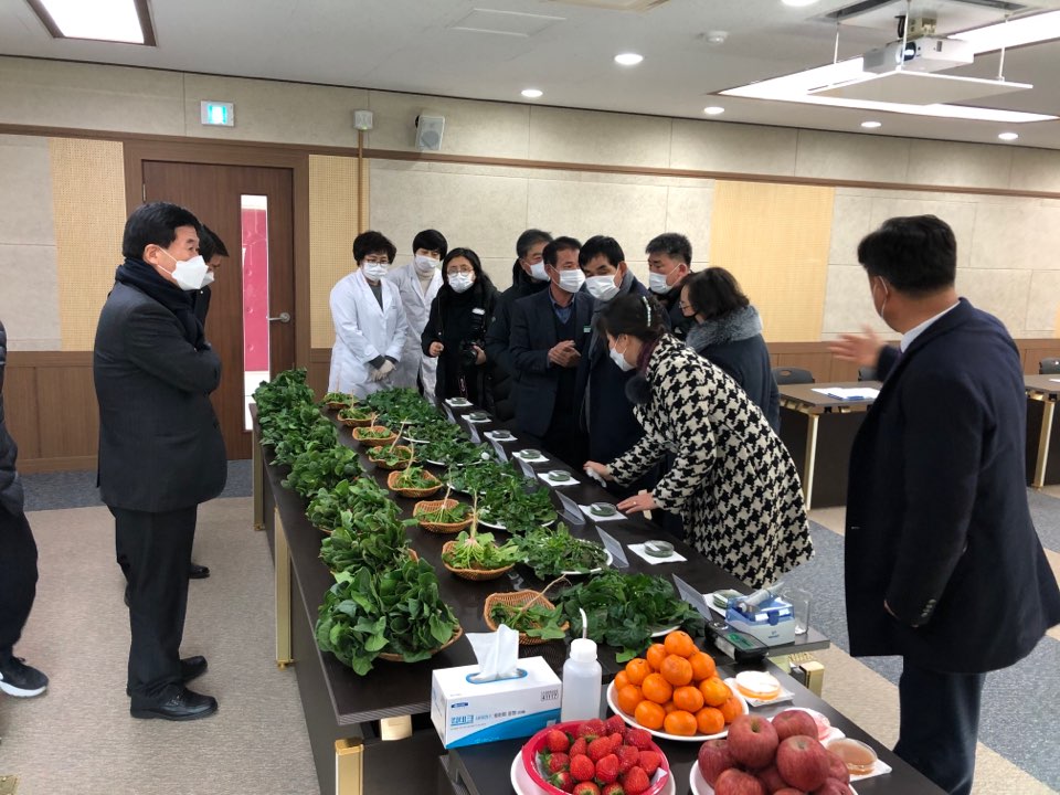 남해군 시금치‘보물초’ 품종 비교 평가회 개최